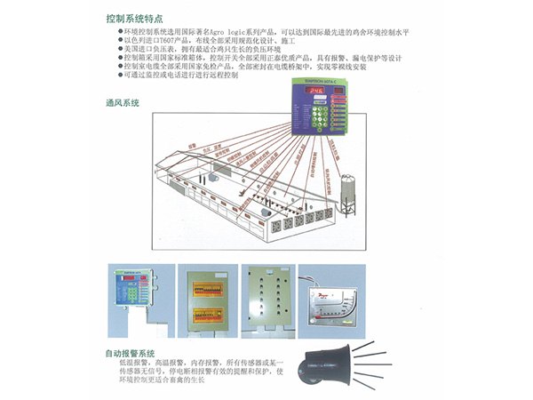 層疊式蛋雞籠養養雞設備